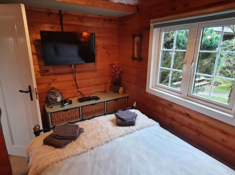 Cosy Cabin In Snowdonia With Views Wi-Fi Dog Friendly & Parking Trawsfynydd Exteriör bild