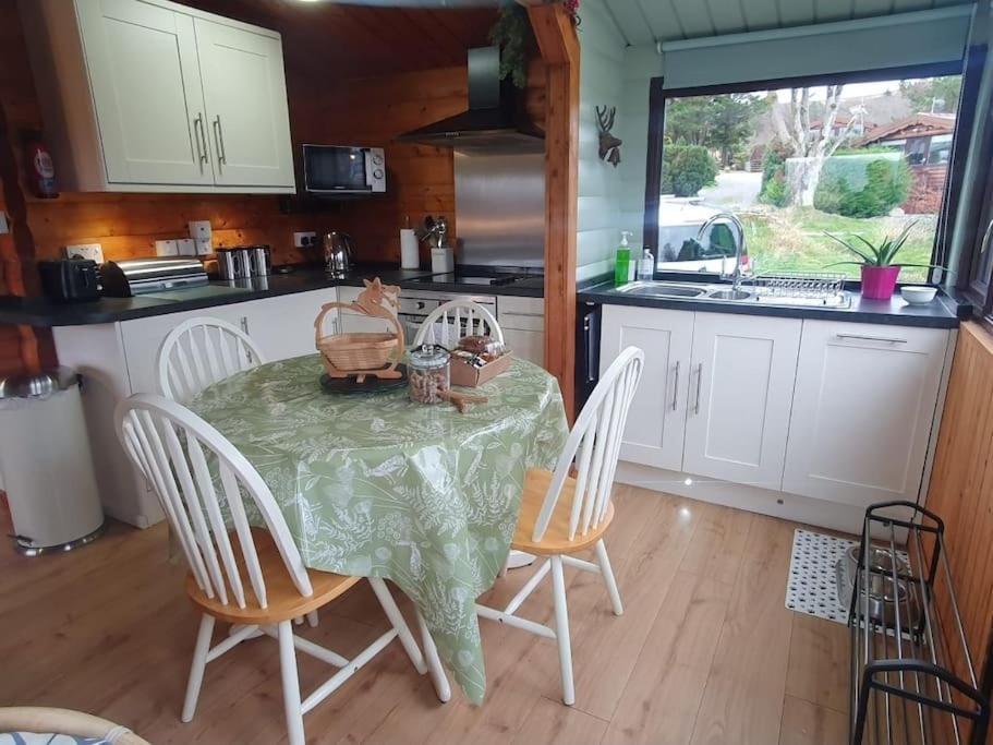 Cosy Cabin In Snowdonia With Views Wi-Fi Dog Friendly & Parking Trawsfynydd Exteriör bild