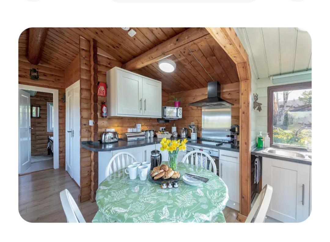 Cosy Cabin In Snowdonia With Views Wi-Fi Dog Friendly & Parking Trawsfynydd Exteriör bild