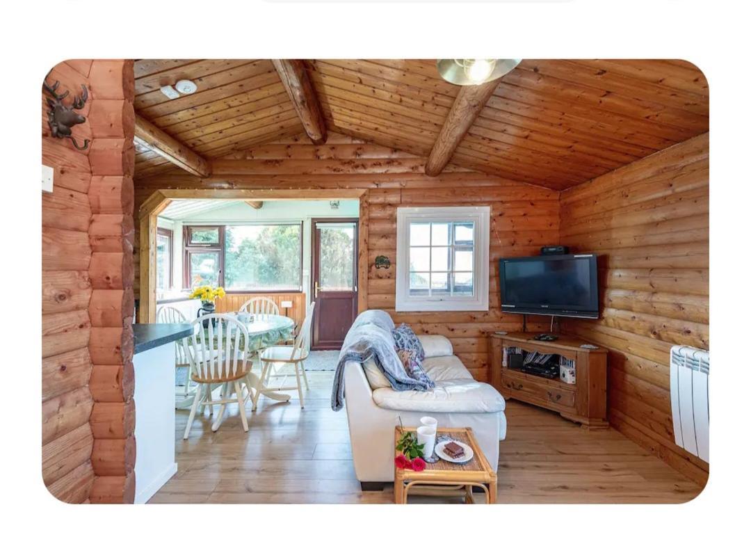 Cosy Cabin In Snowdonia With Views Wi-Fi Dog Friendly & Parking Trawsfynydd Exteriör bild