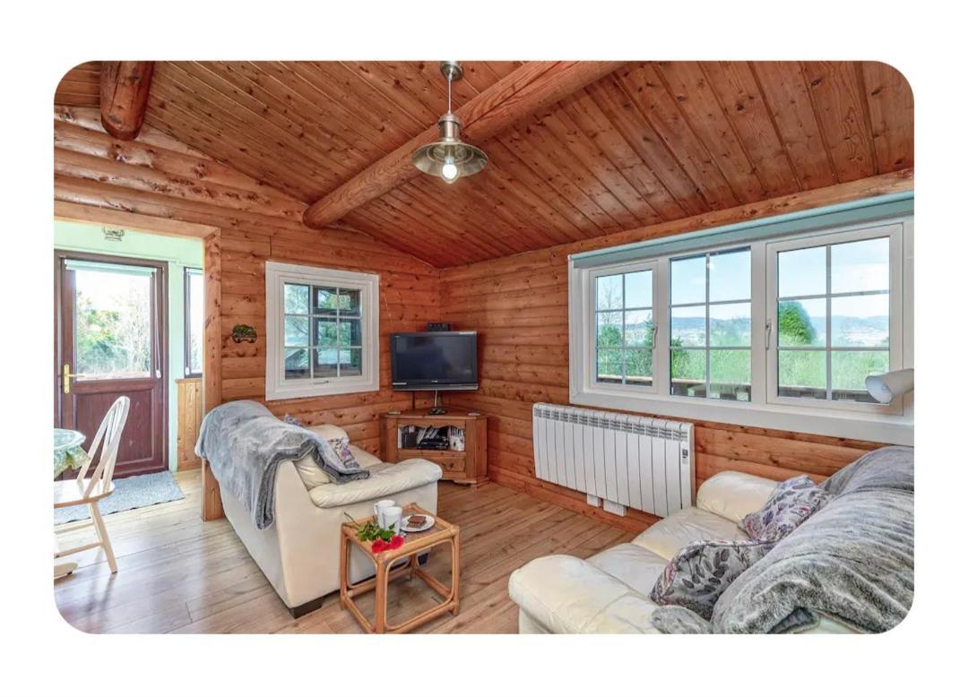Cosy Cabin In Snowdonia With Views Wi-Fi Dog Friendly & Parking Trawsfynydd Exteriör bild